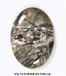 Agatized Wood Agatized Wood