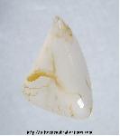 Apache Agate Cabochon Apache Agate Cabochon