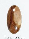 Biggs Canyon Jasper Cabochon Biggs Canyon Jasper Cabochon