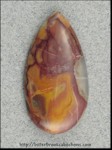 Butterfly Wing Jasper Butterfly Wing Jasper