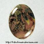 Butterfly Wing Cabochon Butterfly Wing Cabochon