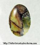 Butterfly Wing Jasper Cabochon Butterfly Wing Jasper Cabochon