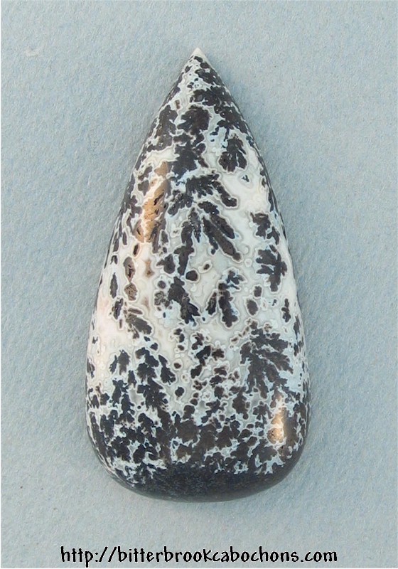 Medicine Bow Dendritic Agate