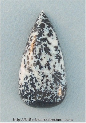 Medicine Bow Dendritic Agate