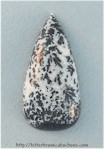 Medicine Bow Dendritic Agate Medicine Bow Dendritic Agate