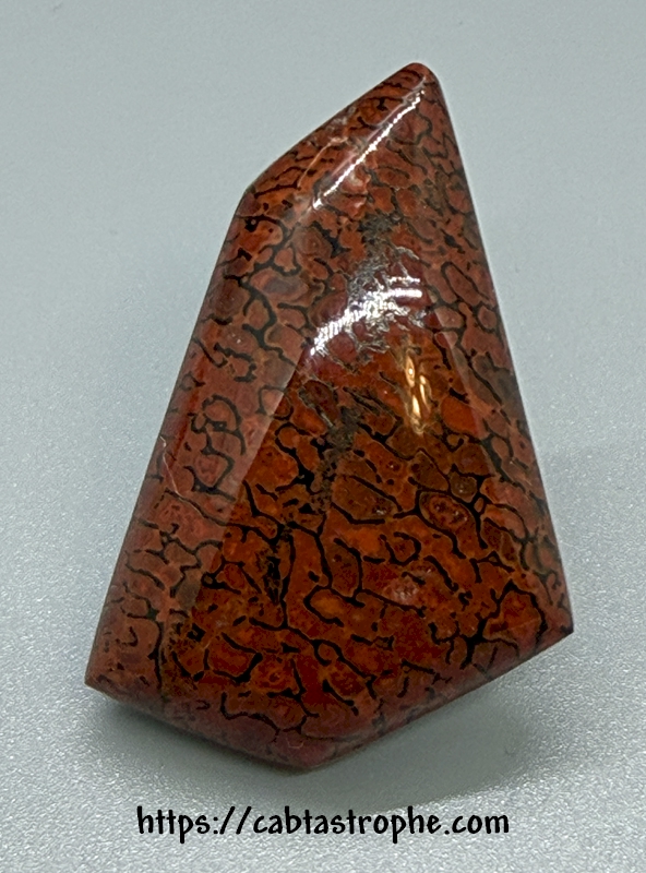 Dinosaur Bone Cabochon