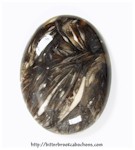 Feather Agate Feather Agate