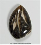 Feather Agate Feather Agate