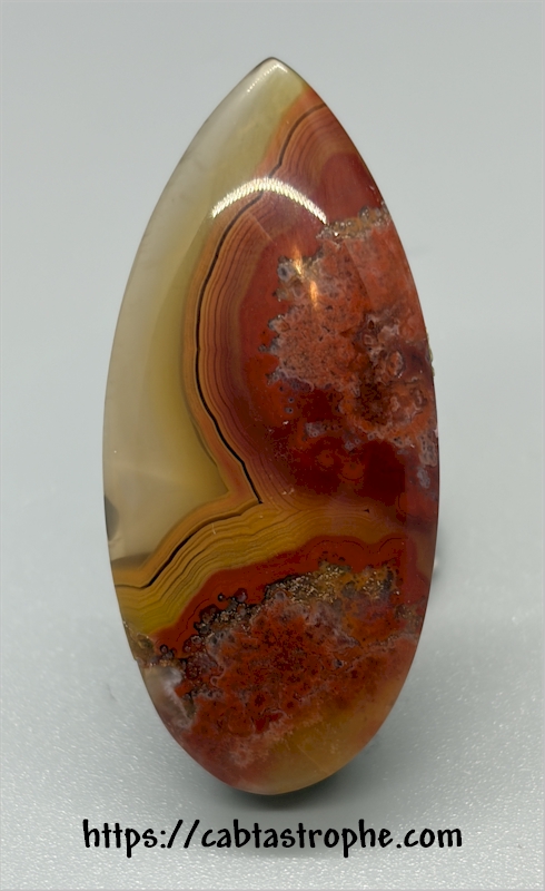 Kentucky Agate Cabochon