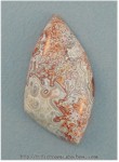 Lace Agate Lace Agate