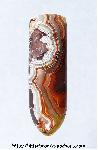Lace Agate Cabochon Lace Agate Cabochon