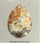 Lace Agate Cabochon Lace Agate Cabochon
