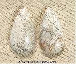 Lace Agate Cabochons Lace Agate Cabochons