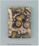Leopardskin Jasper Leopardskin Jasper