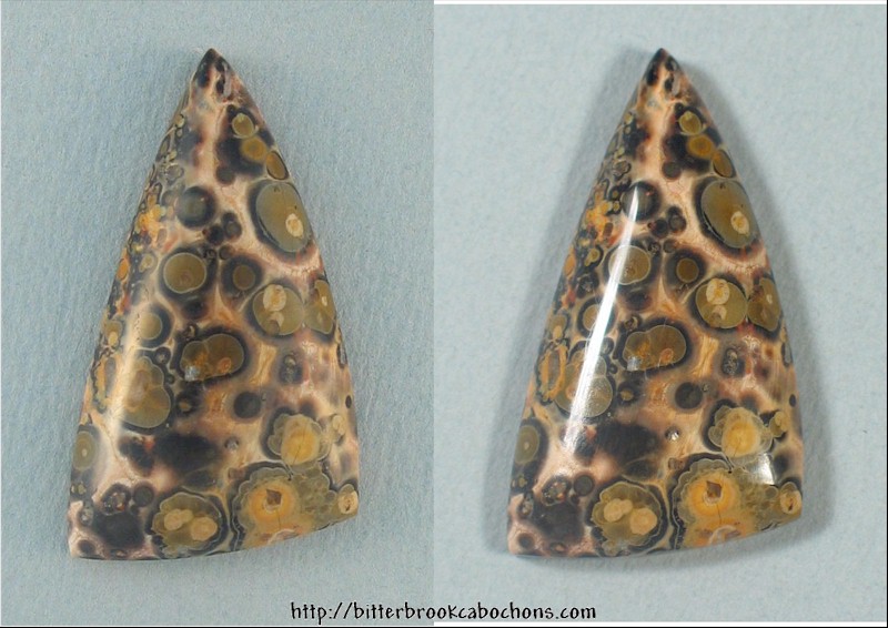 Leopardskin Jasper