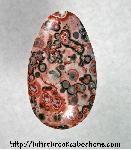 Leopardskin Jasper Cabochon Leopardskin Jasper Cabochon