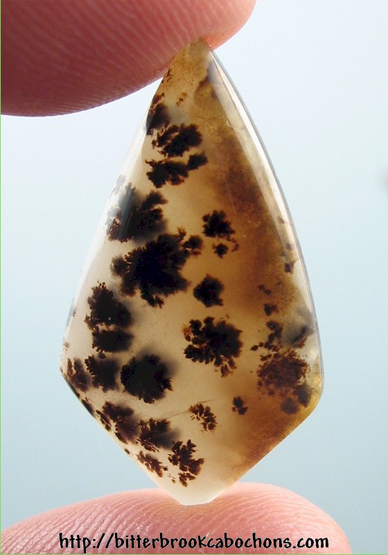 Montana Agate