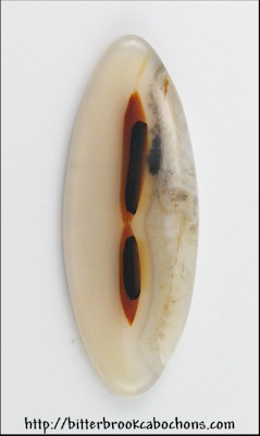 Montana Agate