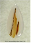 Montana Agate Cabochon Montana Agate Cabochon