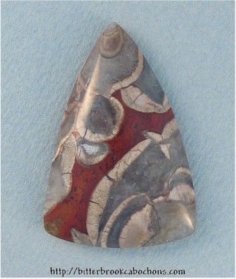 Mushroom Jasper