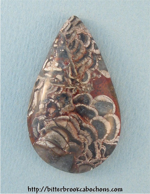 Mushroom Jasper