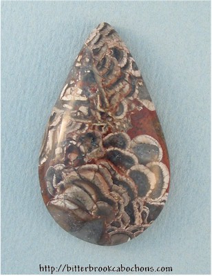 Mushroom Jasper