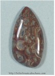 Mushroom Jasper Mushroom Jasper