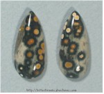 Ocean Jasper Pair Ocean Jasper Pair