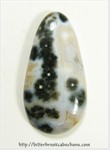Ocean Jasper Ocean Jasper
