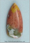 Ocean Jasper Ocean Jasper