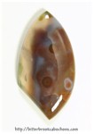 Ocean Jasper Ocean Jasper