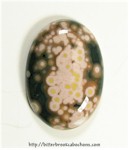 Ocean Jasper Ocean Jasper