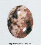 Ocean Jasper Cabochon Ocean Jasper Cabochon