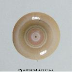 Ocean Jasper Cabochon Ocean Jasper Cabochon