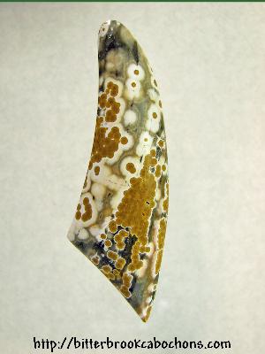 Ocean Jasper Cabochon