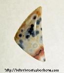Ocean Jasper Cabochon Ocean Jasper Cabochon