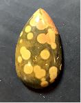 Ocean Jasper Ocean Jasper