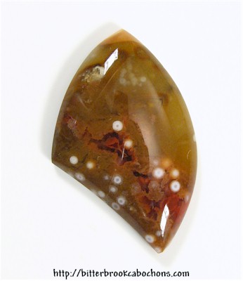 Orbicular Jasper