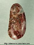 Orbicular Jasper Cabochon Orbicular Jasper Cabochon