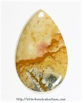 Owyhee Jasper Owyhee Jasper
