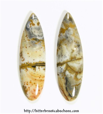 Owyhee Jasper Pair