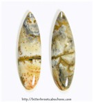 Owyhee Jasper Pair Owyhee Jasper Pair