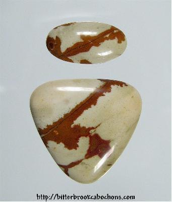Owyhee Jasper Cabochon