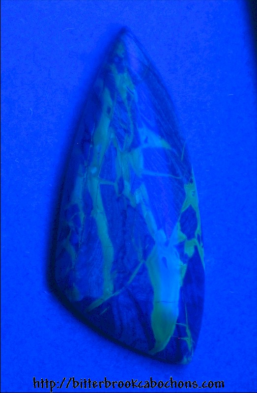 Opalized Petrified Wood