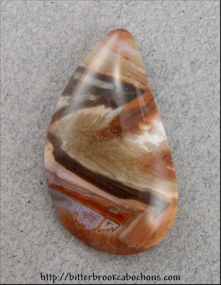 Petrified Wood
