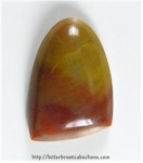 Petrified Wood Petrified Wood