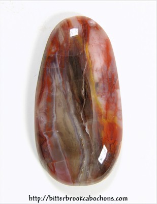 Petrified Wood