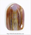 Petrified Wood Petrified Wood