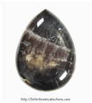 Petrified Wood Petrified Wood