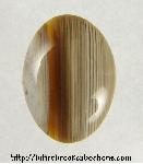 Petrified Wood Cabochon Petrified Wood Cabochon